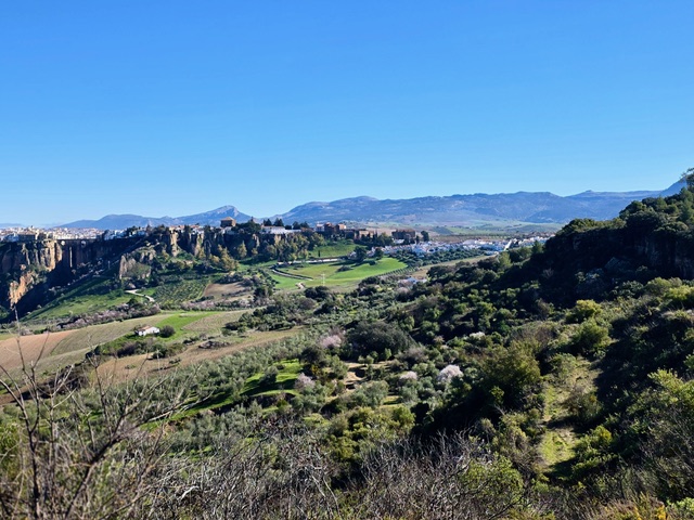 Mid-February, with almond trees blooming. Photo © Karethe Linaae
